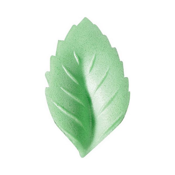 HOJA GRANDE DE OBLEA VERDE MODECOR