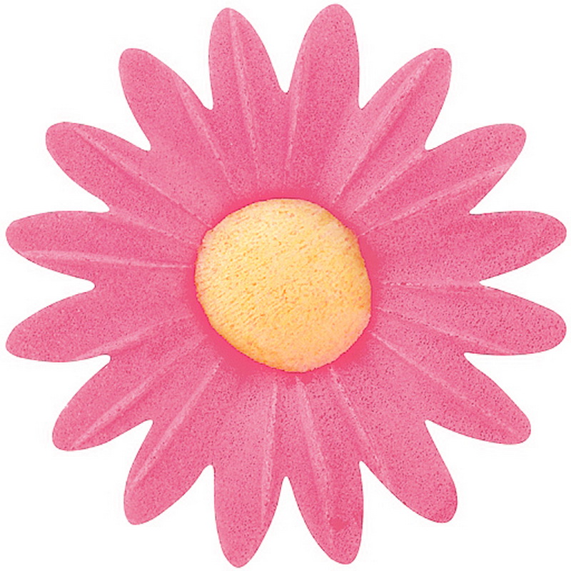 MARGARITA ROJA MODECOR