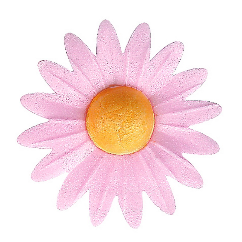 MARGARITA ROSA MODECOR