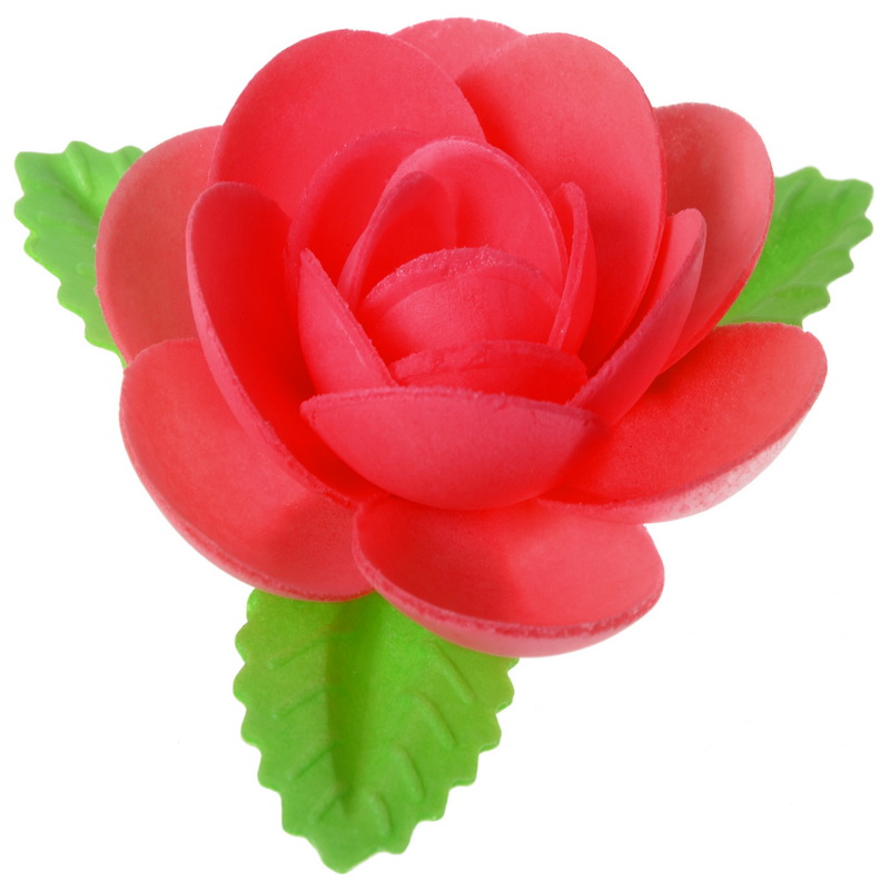 MAGNOLIA C/HOJAS DE OBLEA ROJA MODECOR