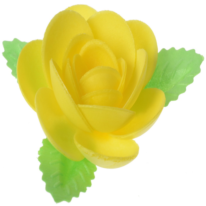 MAGNOLIA C/HOJAS DE OBLEA AMARILLA MODECOR