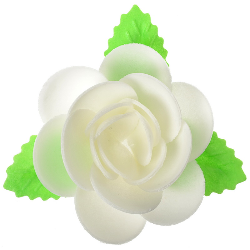 MAGNOLIA C/HOJAS DE OBLEA BLANCA MODECOR