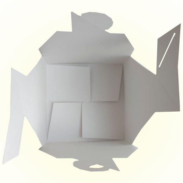 CAJAS MONAS BLANCA 32X32X13 5ud - Imagen 5