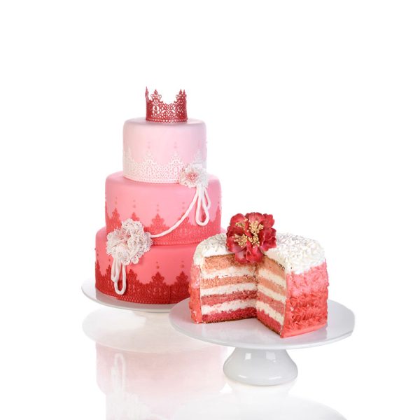 COLOR GEL 100g ROSA CANDY Modecor - Imagen 3