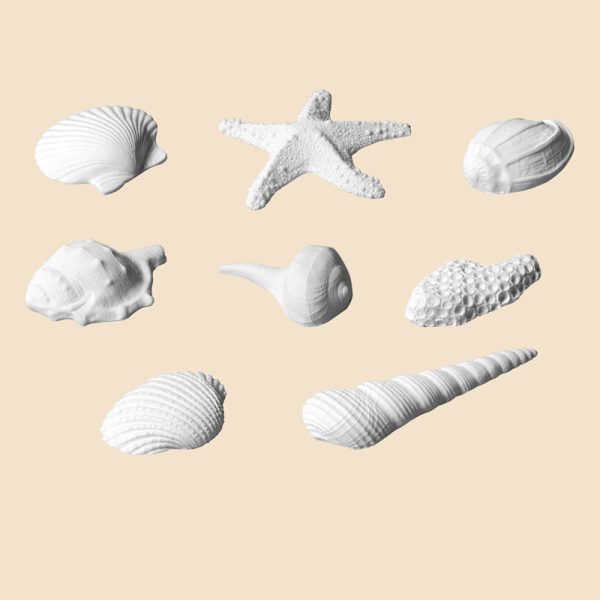 KIT CONCHAS BLANCAS 8 PIEZAS MODECOR