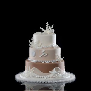 Alternative view of KIT CONCHAS BLANCAS 8 PIEZAS MODECOR