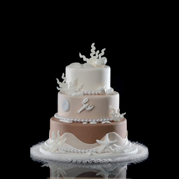 KIT CONCHAS BLANCAS 8 PIEZAS MODECOR - Imagen 2