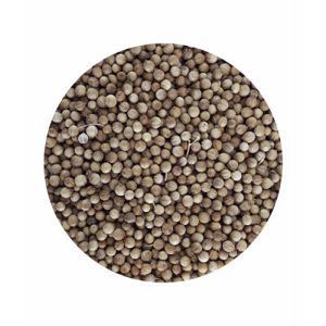 Alternative view of CILANTRO GRANO 150gr
